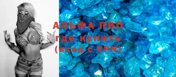 крисы Баксан