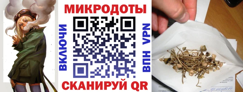 даркнет сайт  Кириллов  Галлюциногенные грибы Cubensis 